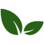 Shine Brand Seeds