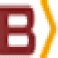 Brace
