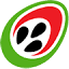 Signal