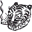 Kaya